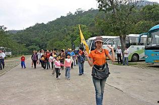 旅游团导游日韩视频在线