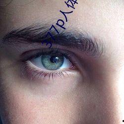 成人网性交视频