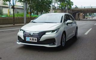 亚洲狮测试视频,揭秘神秘狮种的风采与挑战