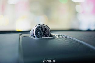 初体验在线无码,探索在线无码世界的无限可能