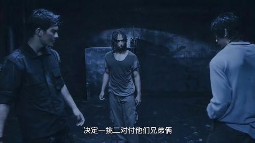 成人汗汗视频大全