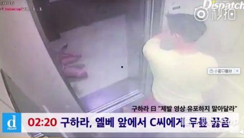 日韩性视频精品免费,免费观看的激情世界